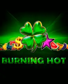 Chilli Heat Spicy Spins